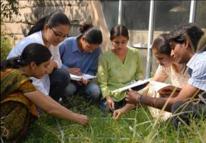 msc in environmental science