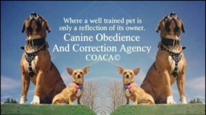 Canine Obedience And Correction Agency, COACA LLC