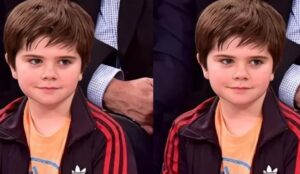 Quinlin dempsey stiller