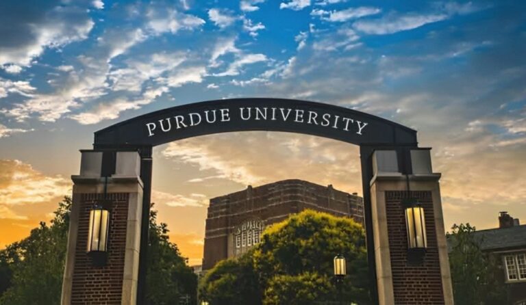 brightspace purdue